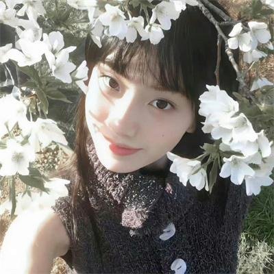 秦巴之恋